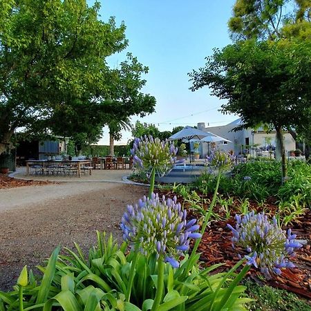 Picardiplace Rawsonville Buitenkant foto